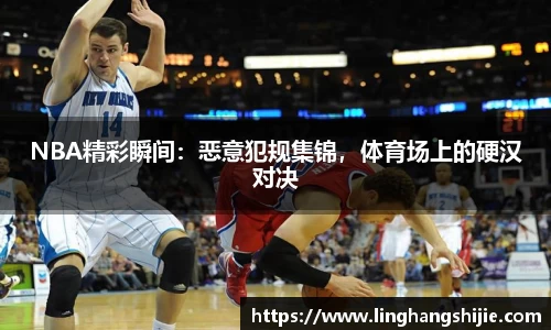 NBA精彩瞬间：恶意犯规集锦，体育场上的硬汉对决